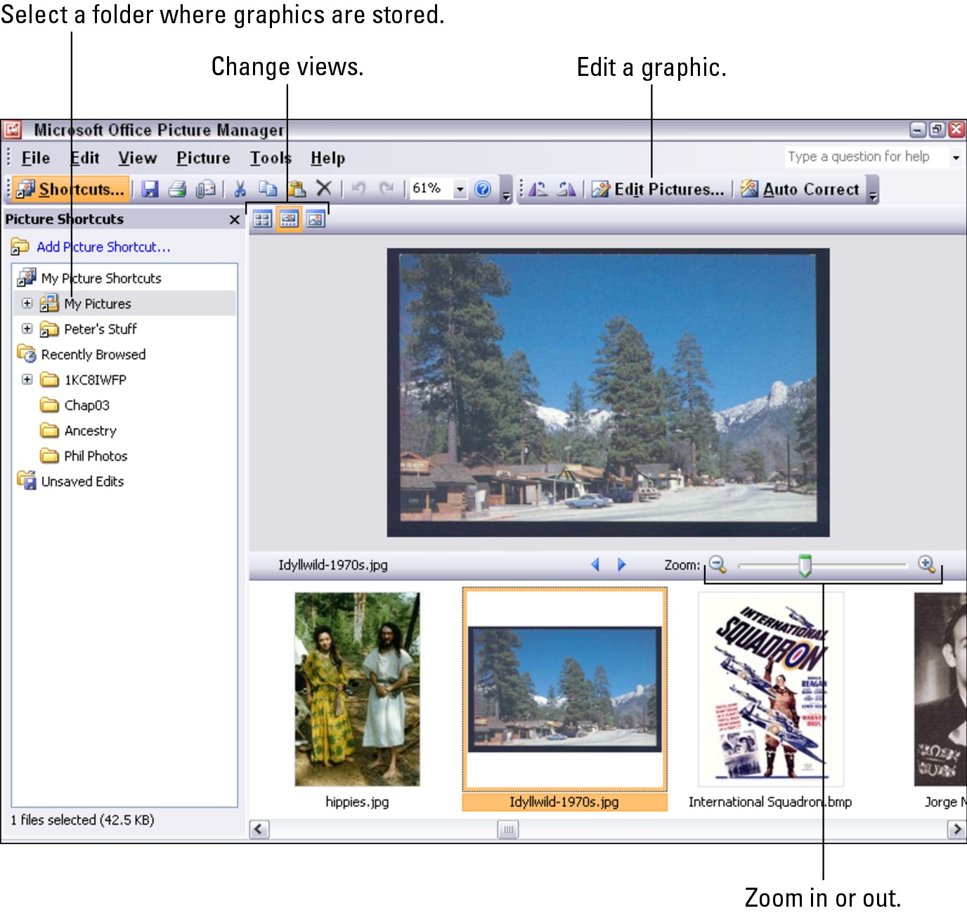 Figure 3-11: The Microsoft Office Picture Manager window in Single Picture view.